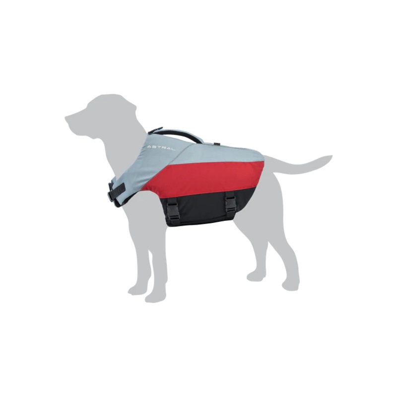 BirdDog