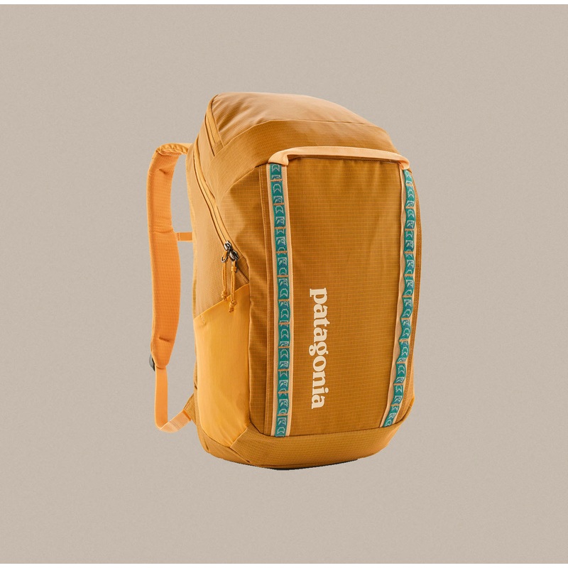 Patagonia Black Hole Pack 32L
