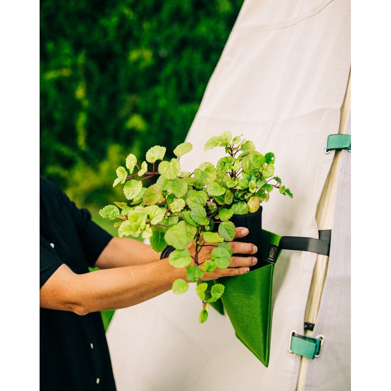Bijou Bloom Hanging Planters