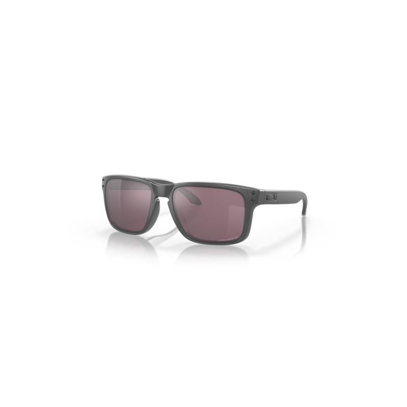 Oakley Holbrook Steel With Prizm Daily Polar