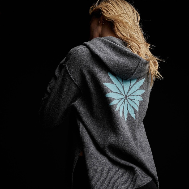 Agave Graphic Hoodie – Flannel/Aqua