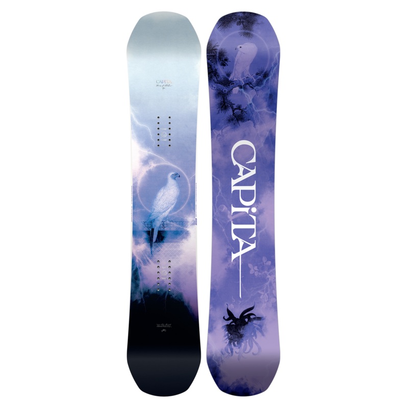 Birds of a Feather Snowboard 2024