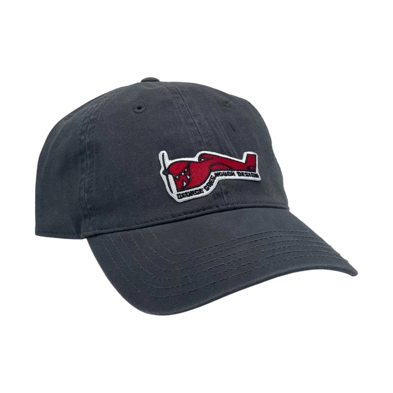 TRUE AMES GREENOUGH AIRPLANE LOGO HAT – VELCRO BACK – GREY